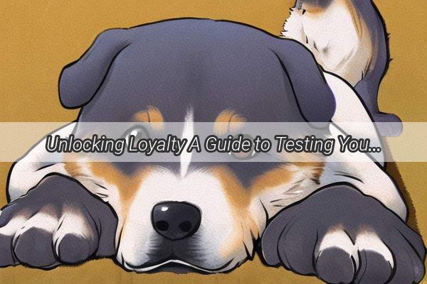 Unlocking Loyalty A Guide to Testing Your Dogs Devotion